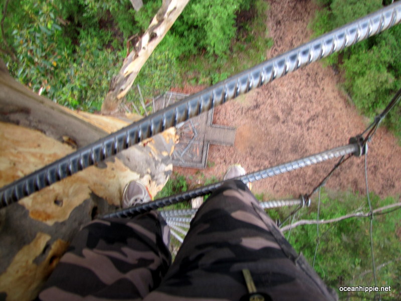 Thumbnail Photo